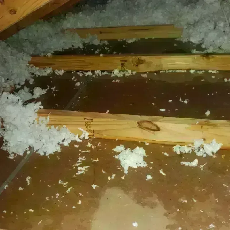 Attic Water Damage in Bath, ME